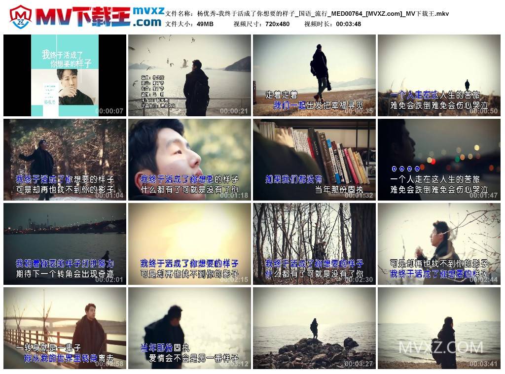 杨优秀-我终于活成了你想要的样子_国语_流行_MED00764